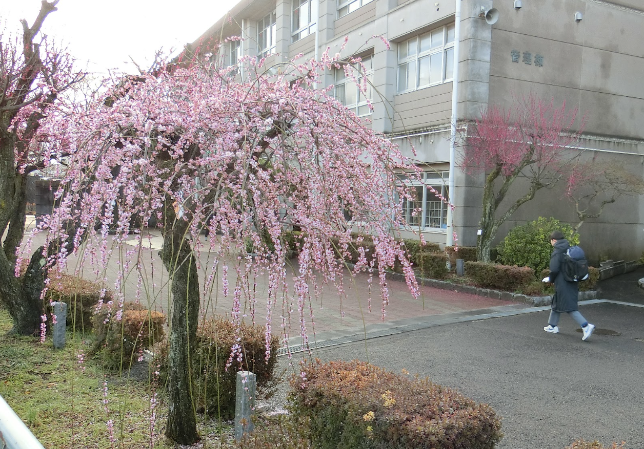 Screenshot 2026-03-04 08.59.45