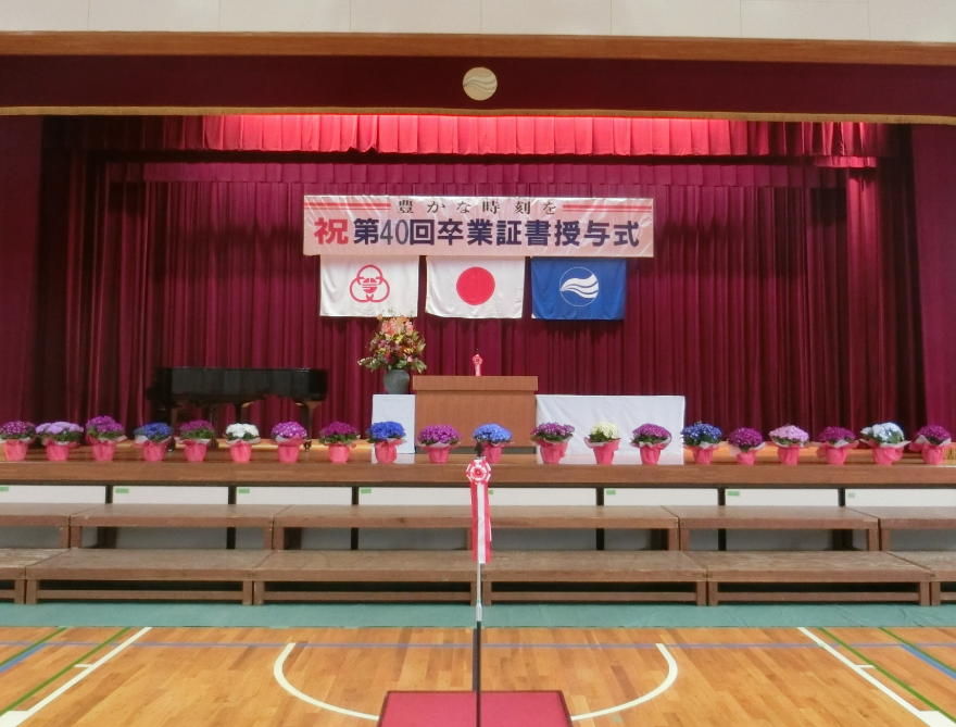 Screenshot 2026-03-10 17.07.57